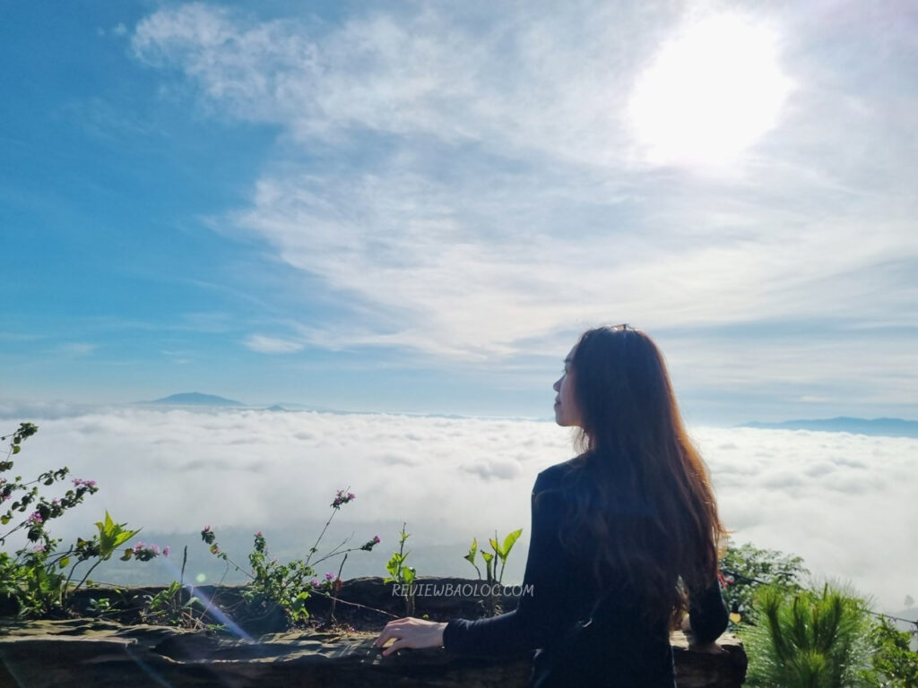 Biển mây tại Bình Minh Camping Coffee