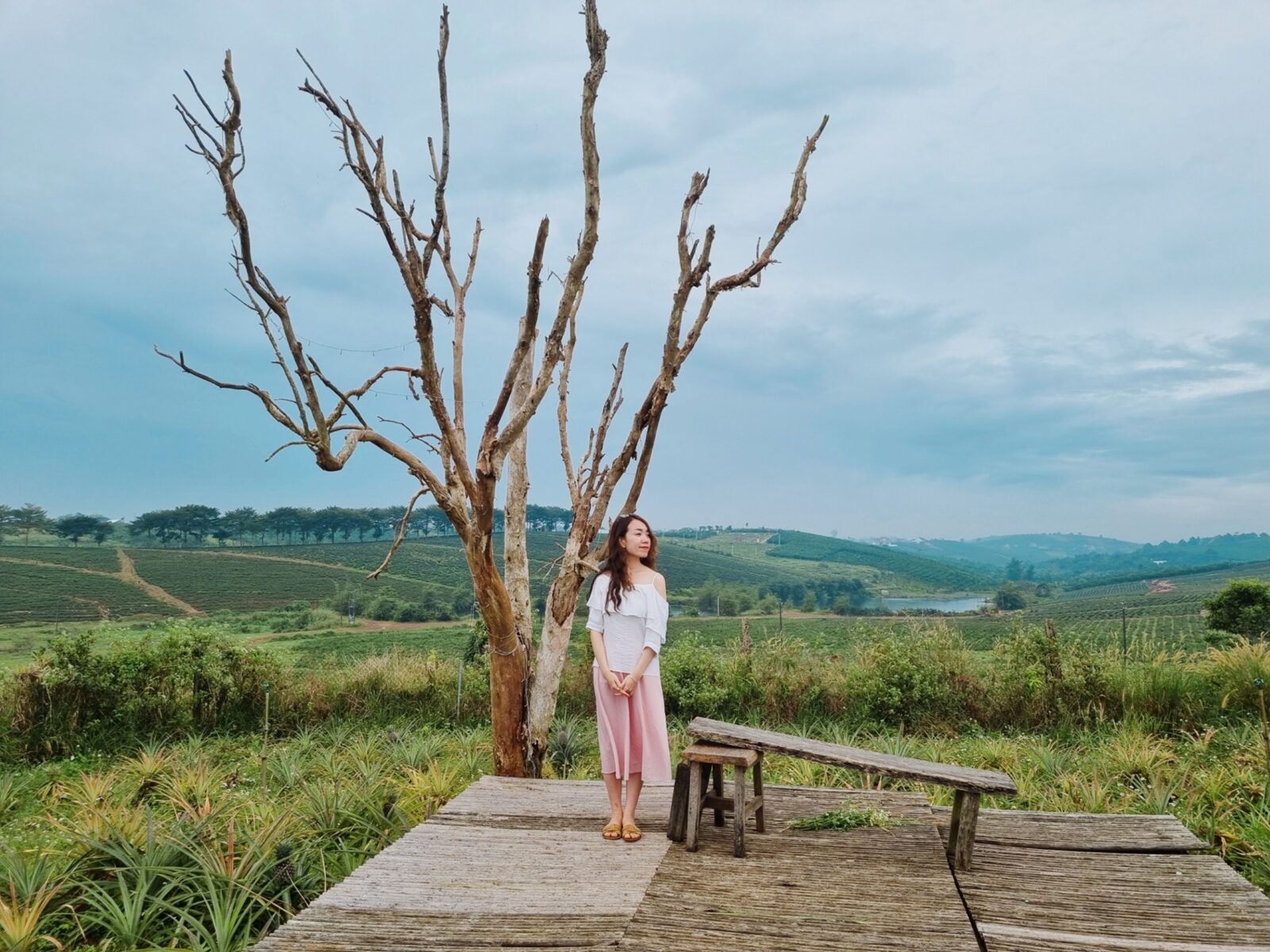 Felix Blao Farm