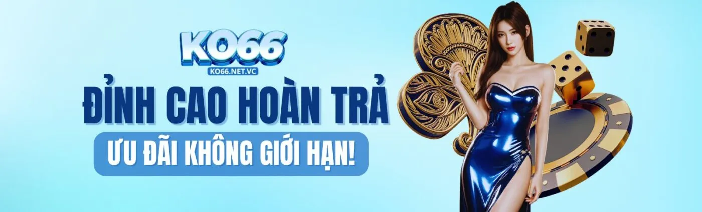 KO66 banner